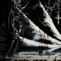 spinach [ februxry ]