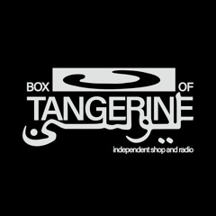 Wetware Echo Takeover at Box of Tangerine June 2024