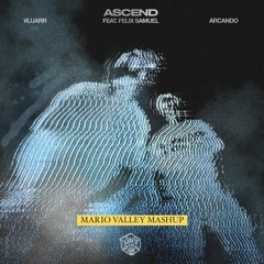 Arcando, Vluarr - Ascend vs. No Money (Mario Valley Mashup)