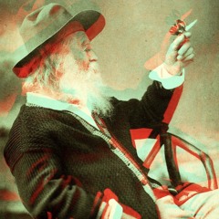 I Hear America Singing