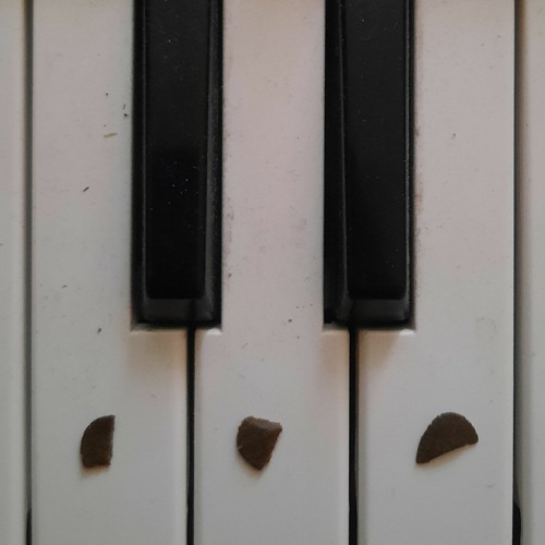 Ice-O-Lator tri-pack