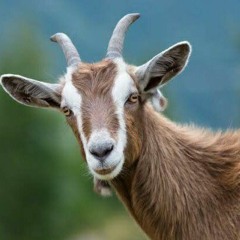 Freaked it (Unreleased 2021)