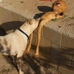 Look At The Sky.cursed