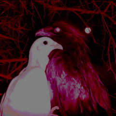 Pale Moonlight feat. SØVRIN (prod. muzcean)