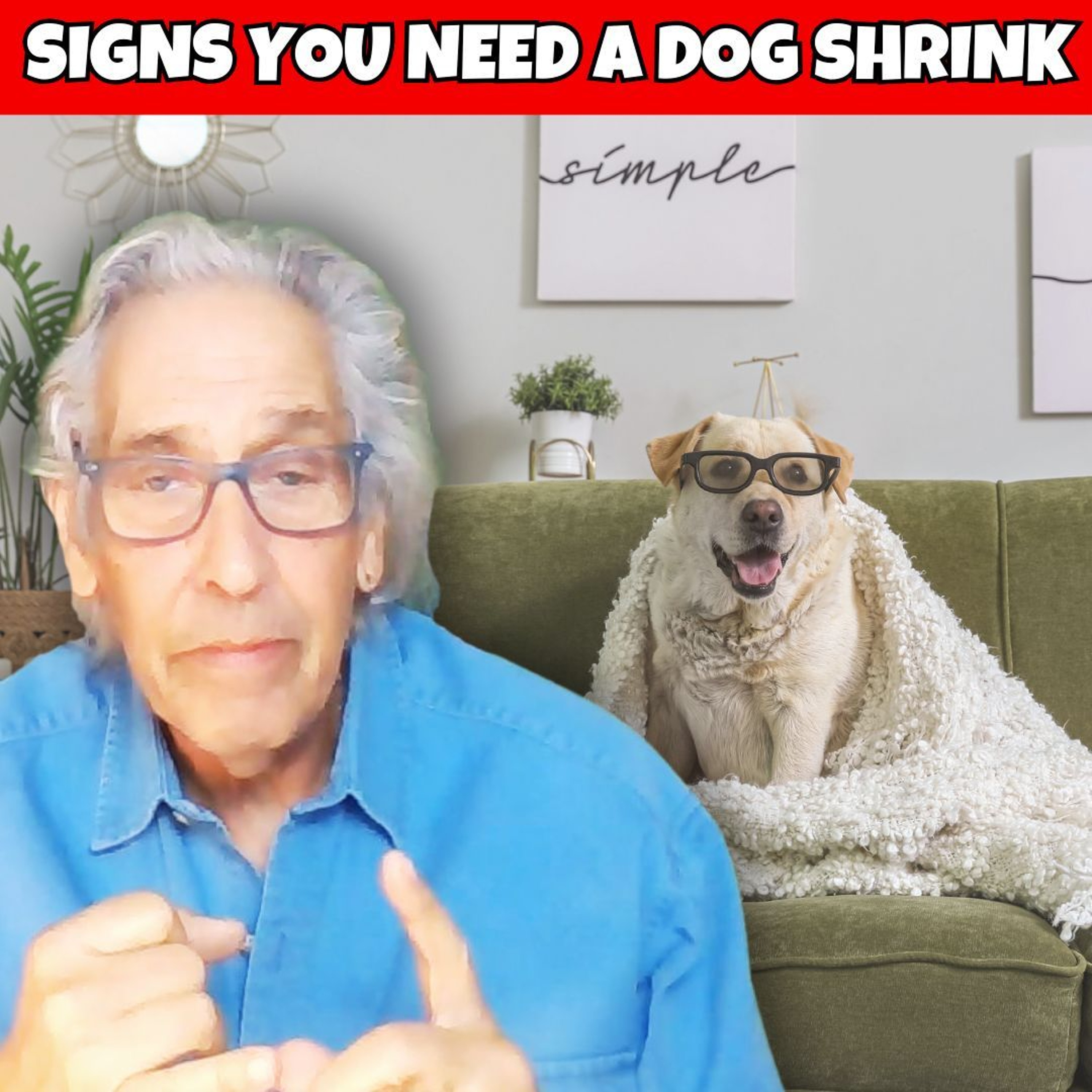 The Pet Show - USA & Canada