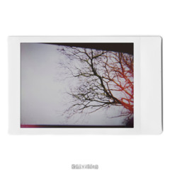 𝗽𝘂𝗺𝗽𝗲𝗱 𝘂𝗽 𝗸𝗶𝗰𝗸𝘀 (ꜰᴏsᴛᴇʀ ᴛʜᴇ ᴘᴇᴏᴘʟᴇ) - 𝚌𝚘𝚟𝚎𝚛 ༄‧*🎧𓏲 ࣪₊.☆💿