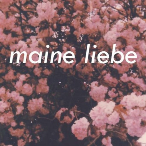Ardian Bujupi X Elvana Gjata - MEINE LIEBE ( slowed down )