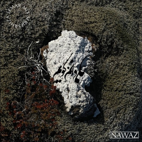 Nawaz ⍕ ʀʜɪᴢᴀ sᴇᴍᴀʀ ᴍɪx sᴇʀɪᴇs