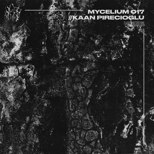 M017 // Kaan pireciouglu