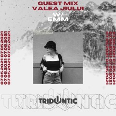 EMM - GuestMix Valea Jiului