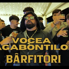 Florin Mitroi - VOCEA BAGABONȚILOR - BÂRFITORI