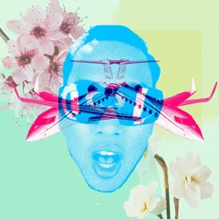 Far East Movement - Like A G6 (Poppin Prog in the House Bootleg)