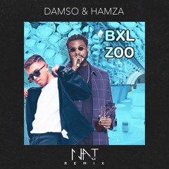 Damso & Hamza - BXL ZOO (N.A.T Remix)