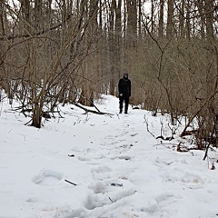 esidaraP [Prod. NetuH]