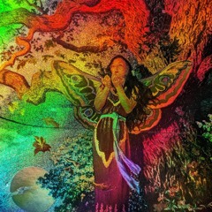 11 Grain Of Paradise