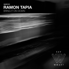 Ramon Tapia - Bring It On Down [Say What?]