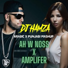 AMPLIFIER X AH W NOSS (ARABIC/PUNJABI MASHUP)  | DJ HAMZA | IMRAN KHAN | NANCY AJRAM
