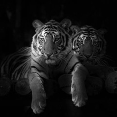 rio da yung og - claressa shields (AT mixxx) Slowed & Reverb