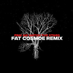 Fink - We Watch The Stars (Fat Cosmoe Remix)