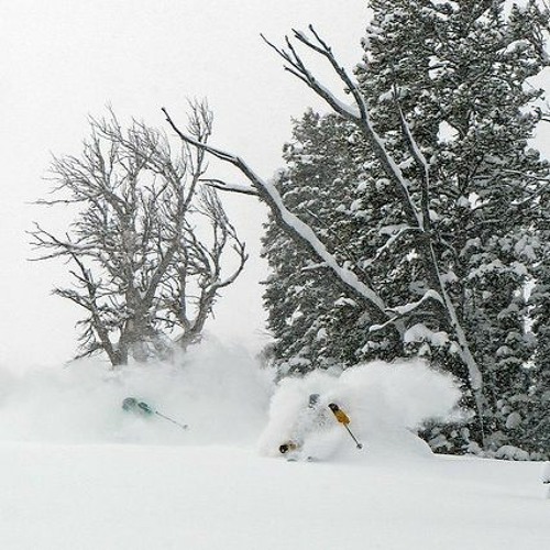 Stream Tuesday February 6th, 2024. by Jackson Hole Snow Report Listen
