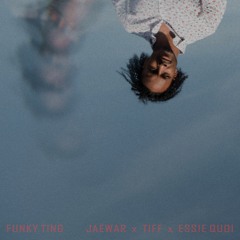 Funky Ting (remix) [feat. Ti Ames & Essie Quoi]