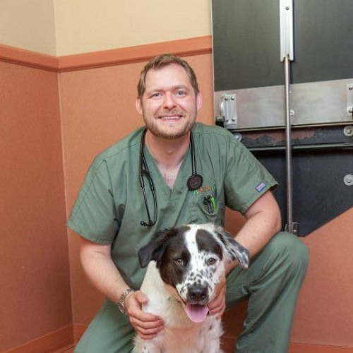 Stream episode VAN 013 Chris Norkus DVM, DACVECC, DACVAA by Veterinary