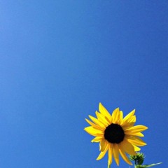 SONG OF THE MUSE ( NURI EDIT)_A