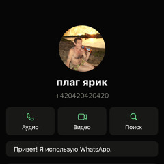 плаг ярик (p. senkdidthat)