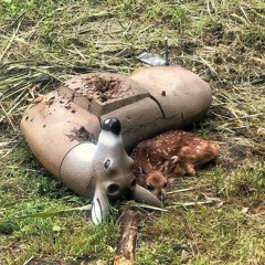 The Sun Is Full Of Love