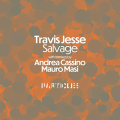 Premiere: Travis Jesse - Wildflower (Mauro Masi Remix) [Particles]