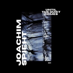 Until The Quiet Comes #1: Joachim Spieth