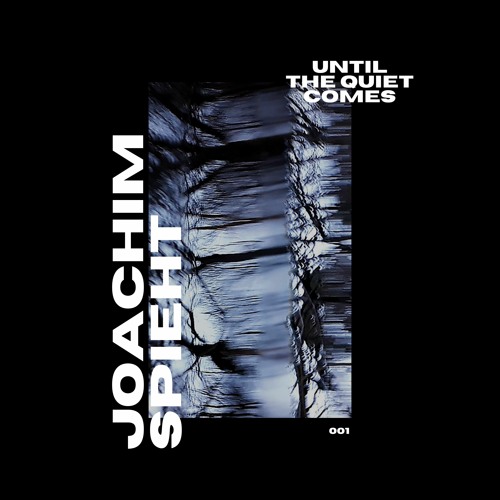 Until The Quiet Comes #1: Joachim Spieth