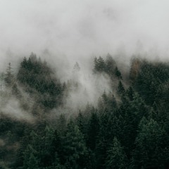 some chill songs