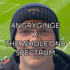 ANGRYGINGE X THE WHOLE DNB SPECTRUM