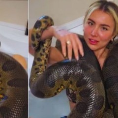 Original Full new video One Girl One Anaconda Online Leaks