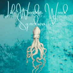 Squidward Beat Prod. Lil Woodie Wood Squidward Flute Trap Beat 140 Bpm Free For Nonprofit 20$