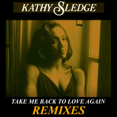 Take Me Back To Love Again (Radio Remix Instrumental)