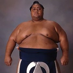 Soichi Terada - Sumo Jungle W. Preview