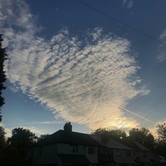 drinks on me (t-pain)