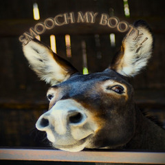 Smooch My Booty-Alabama Jonez