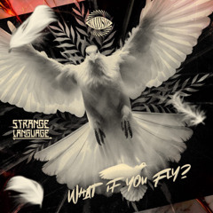 What If You Fly?