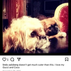 I AM HUMAN BTW! / pussy¡ (prod. by Jerome keys)