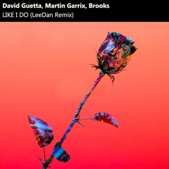 David Guetta, Martin Garrix & Brooks - Like I Do (LeeDan Remix)