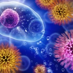 Ed Rush & Optical - Virus - Outbreak - mixed by Sythesis1200 aka Mazer