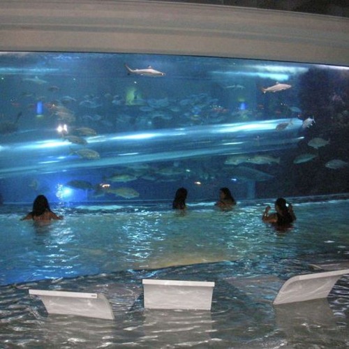 ill figure it all out someday i promise #thuggz4lifee