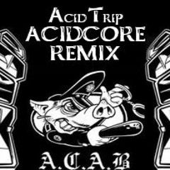 AcidTrip Acidcore Remix