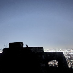 Traveling Through The Night (demo)