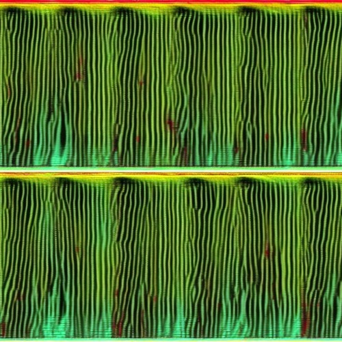 Stable Diffusion V2 768 txt to image(generative spectrogram), image to audio #4