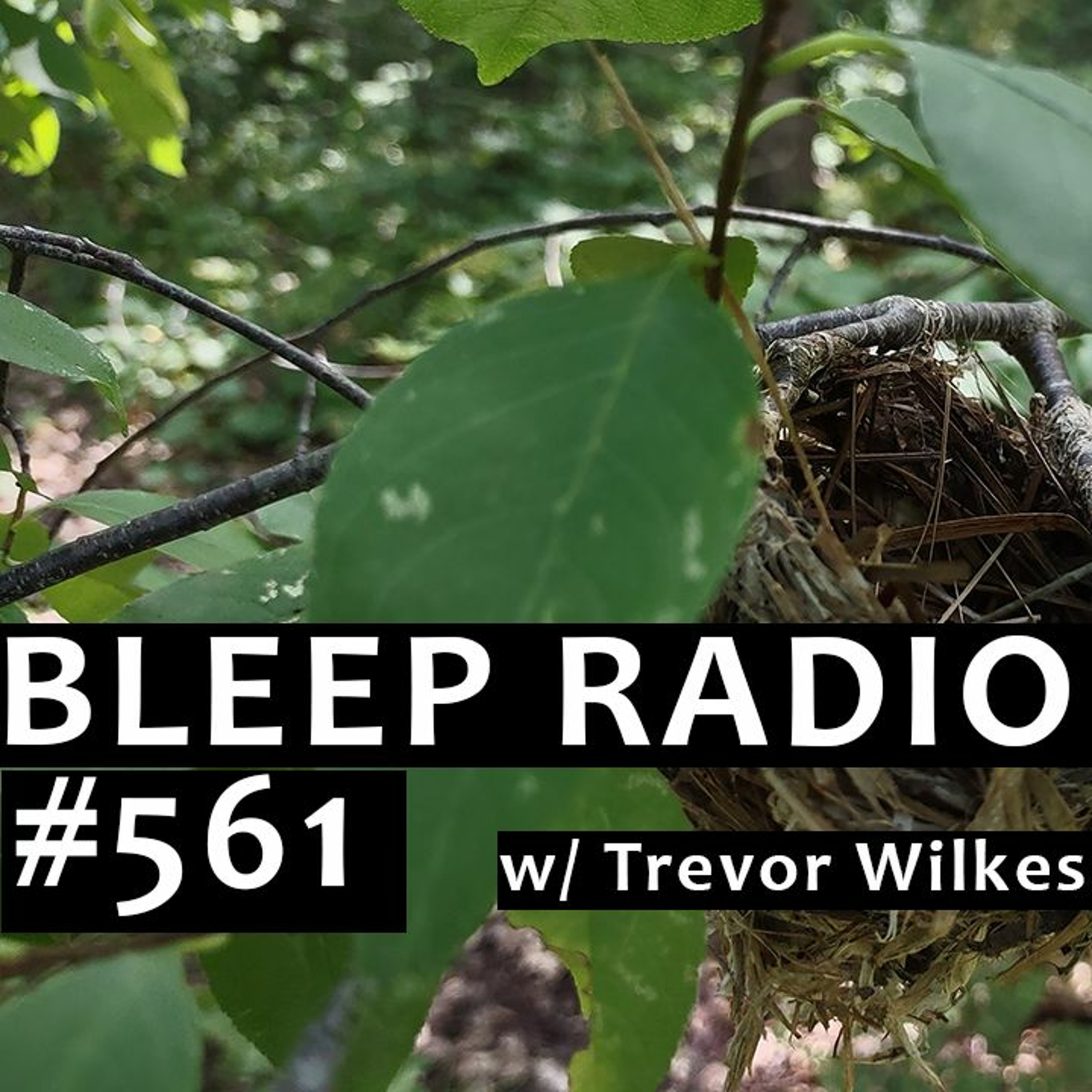 Bleep Radio w/ Trevor Wilkes