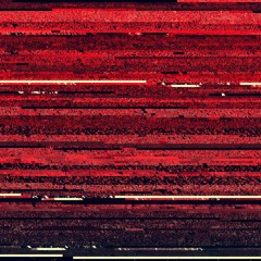insides